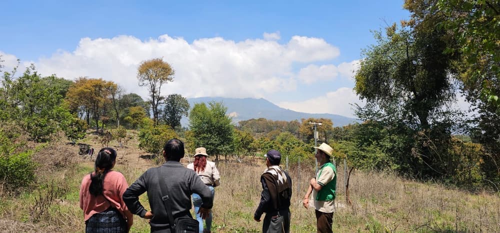Recorrido de observación del paisaje forestal de la RUMCLA